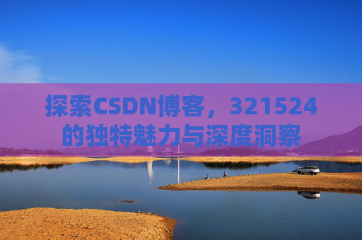 探索CSDN博客，321524的独特魅力与深度洞察